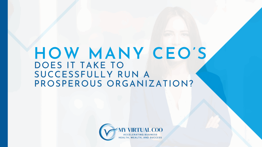 Visionary CEO