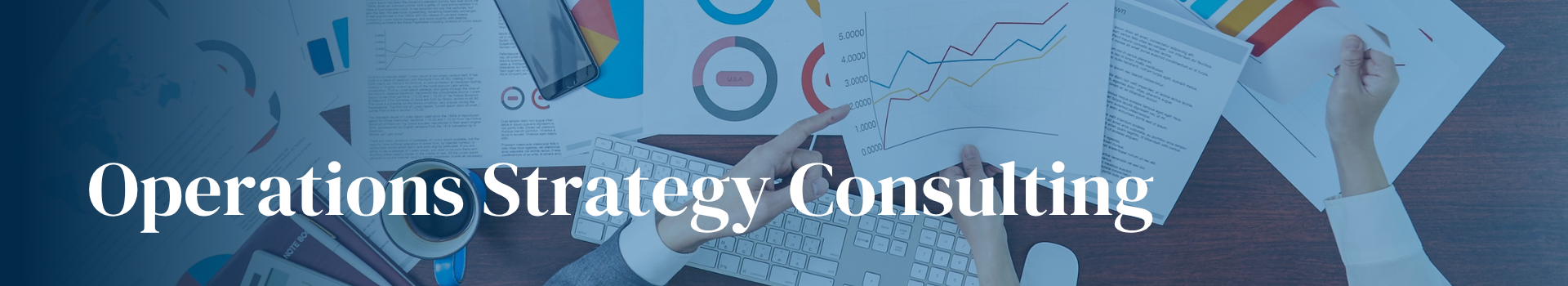 Operational Consulting Services Banner